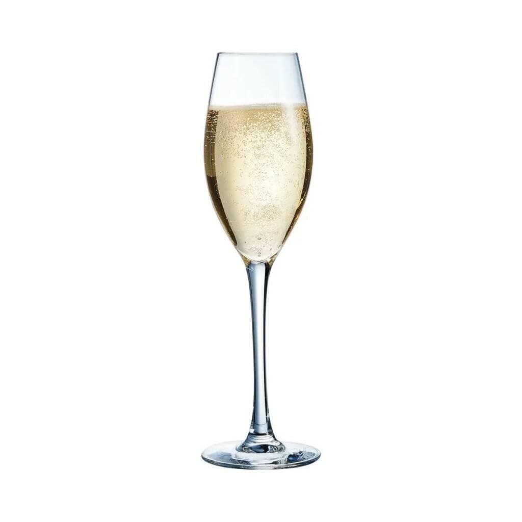 Бокал-флюте для шампанского, "Сиквенс", Chef&Sommelier, Sequence 240 мл d 6.9 см h23,5 см
